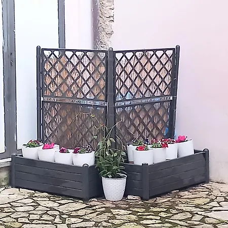 Mon Barons Sulmona